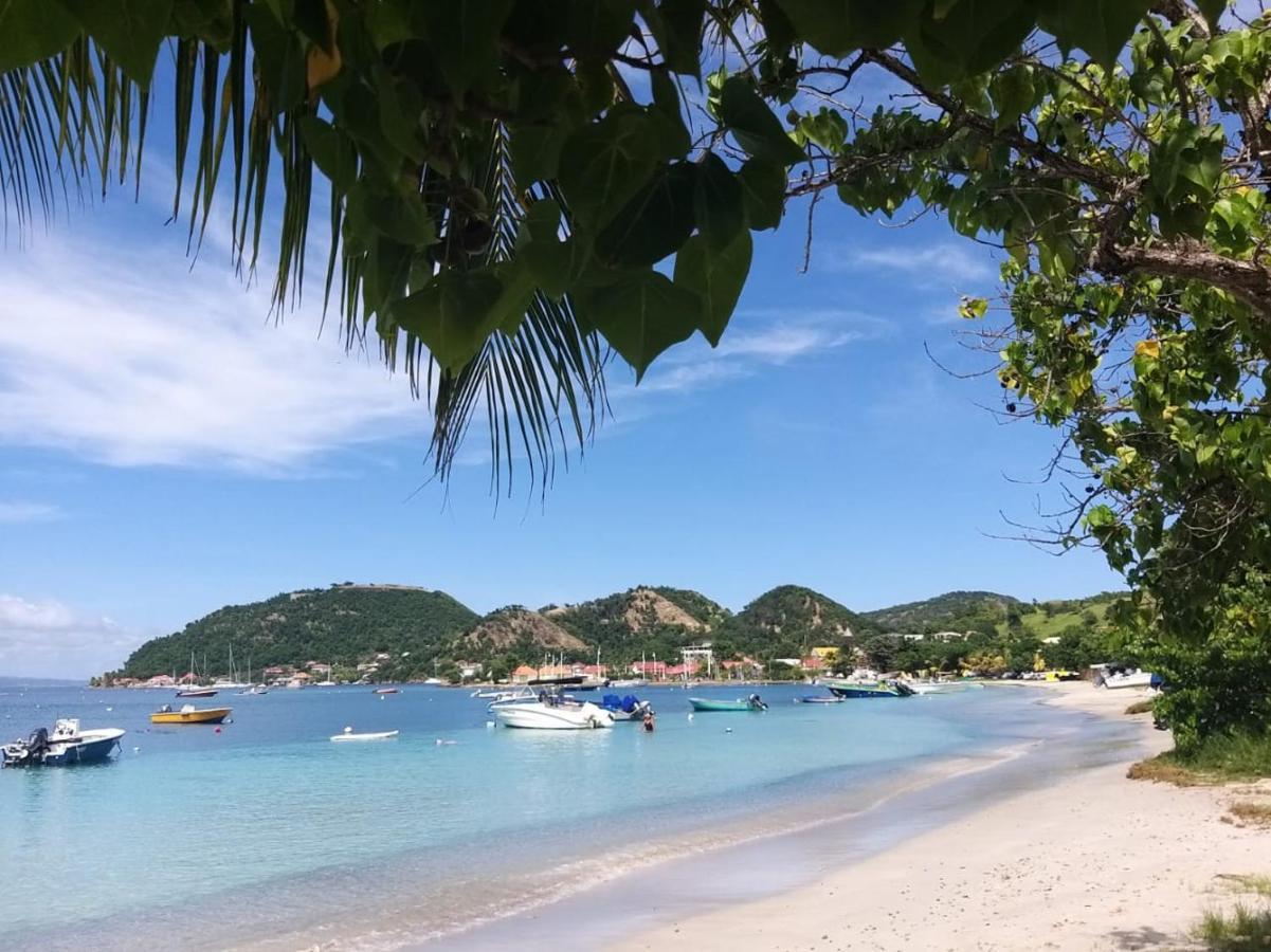Studio 1 - Grande Anse - 4 Pers - Proche Bourg Terre-De-Haut Luaran gambar