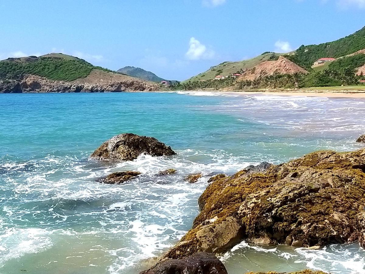 Studio 1 - Grande Anse - 4 Pers - Proche Bourg Terre-De-Haut Luaran gambar