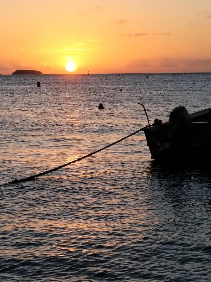 Studio 1 - Grande Anse - 4 Pers - Proche Bourg Terre-De-Haut Luaran gambar
