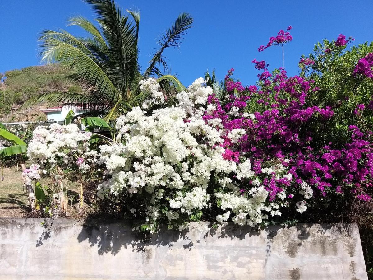 Studio 1 - Grande Anse - 4 Pers - Proche Bourg Terre-De-Haut Luaran gambar